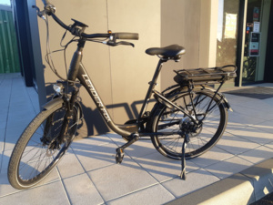 LEADER FOX LOTUS Lady černá mat/zlatá - 16.5"