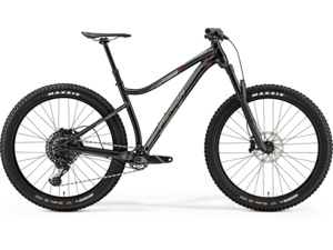 MERIDA Big.Trail 800