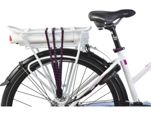 LEADER FOX FORENZA Lady bílá