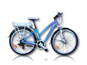 CRUSSIS e-Savela 1.2