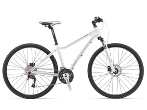 GIANT Rove 2 Disc DD - L