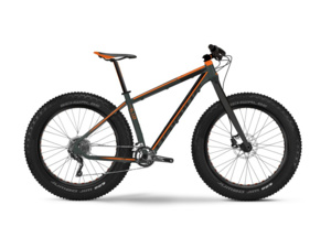 HAIBIKE Fatcurve 6.10 - 40 cm