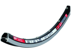 DT SWISS Rafek  RR 415 28" černý