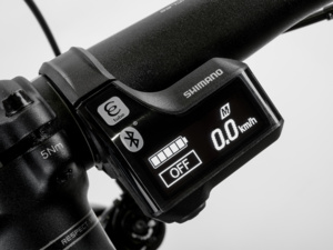 Author Elevation 27.5