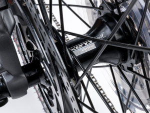 Author Elevation 27.5