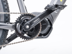 Author Elevation 27.5