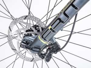 Author Elevation 27.5