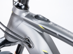 Author Elevation 27.5