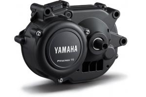 Motor Yamaha PW-TE