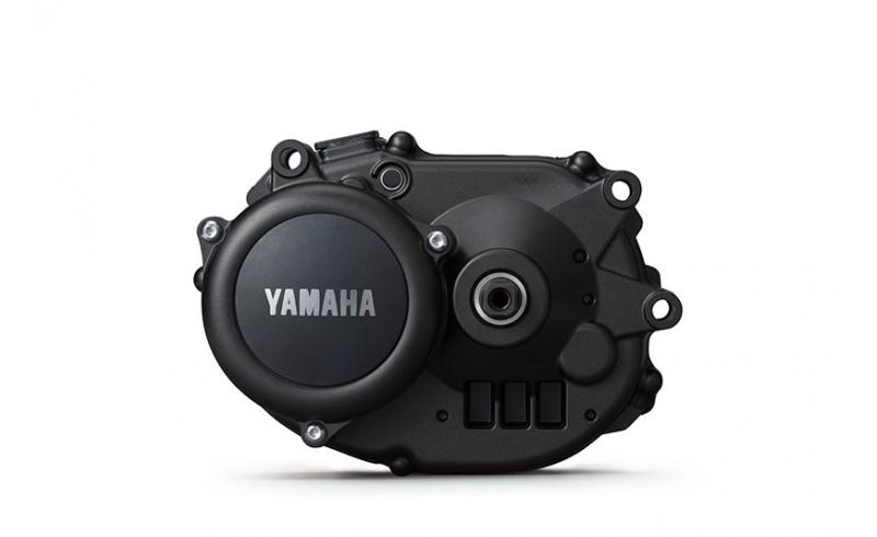 Motor Yamaha PW-TE