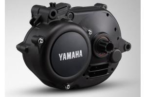 Motor Yamaha PW-X