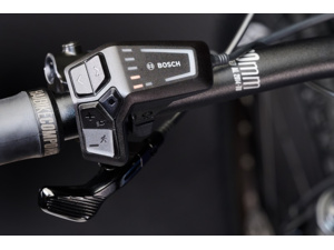 HAIBIKE AllMtn CF 9 Blue/White