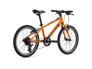 GIANT ARX 20 Metallic Orange 2
