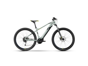 RAYMON HardRay E 5.0 29 Pistaccio/Black/Lime Glanz