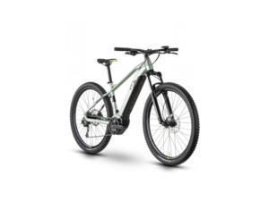 RAYMON HardRay E 5.0 29 Pistaccio/Black/Lime Glanz