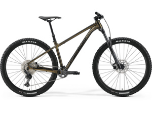 MERIDA Big.Trail 500 Sparkling Gold(Black)