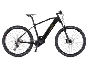 4EVER Exstream Pro černá/zlatá