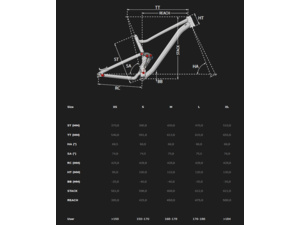 LAPIERRE Zesty TR 3.9