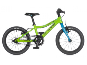 AUTHOR Record 16 Green/Blue