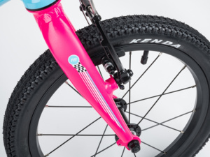 AUTHOR Record 16 Blue/Pink