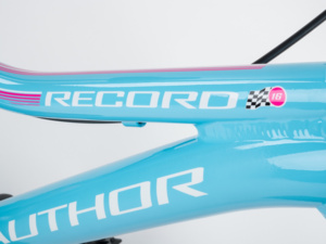 AUTHOR Record 16 Blue/Pink