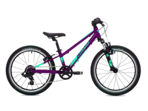 CONWAY MS 240 Berry Metallic/Mint