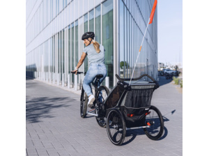 Dětský vozík THULE Chariot Lite Double Aluminum/Agave