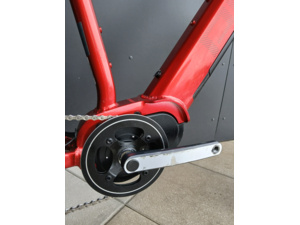 PELLS Thorr Base Red - L