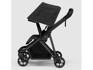 THULE Shine Black on Black