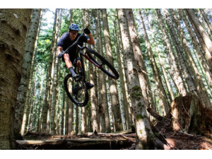 NORCO Torrent A1 HT Red/Black 29