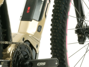 CRUSSIS e-Fionna 9.9-L