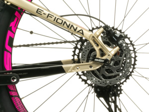 CRUSSIS e-Fionna 9.9-L