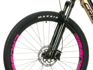 CRUSSIS e-Fionna 9.9-L