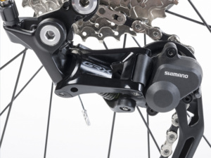 AUTHOR Avion Carbon/Blue/Black