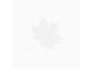 NORCO Spacer Id15 Od22 L4.5 913300-034