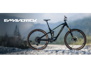 STEVENS E-Maverick AM 9.4.3 Golden Phantom