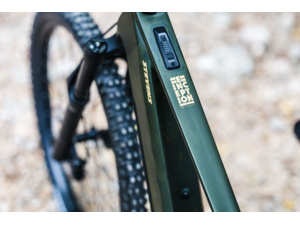 STEVENS E-Inception AM 7.8.1 GTF Forest Light