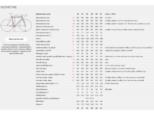 STEVENS Camino RS Pro Di2 Cool Grey