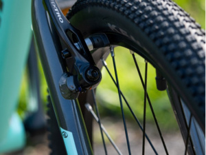 AUTHOR Limit 24 Green/Silver/Yellow