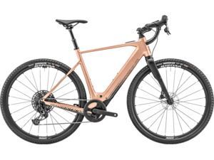 MOUSTACHE Samedi Dimanche 29.6 Light Copper