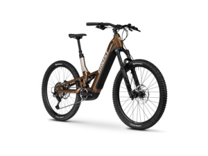 GHOST E-ASX Advanced Low Brown Bear/Stone Glossy