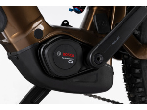 GHOST E-ASX Advanced Low Brown Bear/Stone Glossy