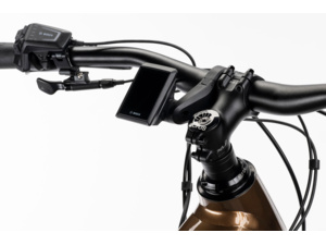 GHOST E-ASX Advanced Low Brown Bear/Stone Glossy