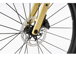 GHOST Asket CF LTD Honey Gold/Berry Blush Matt