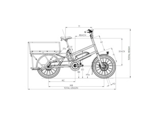 MOUSTACHE LUNDI 20 Cargo 1 Mint