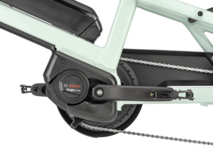 MOUSTACHE LUNDI 20 Cargo 1 Mint