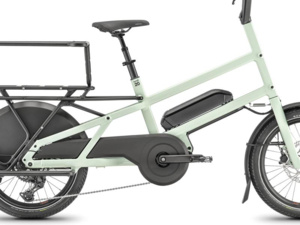 MOUSTACHE LUNDI 20 Cargo 1 Mint