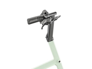 MOUSTACHE LUNDI 20 Cargo 1 Mint