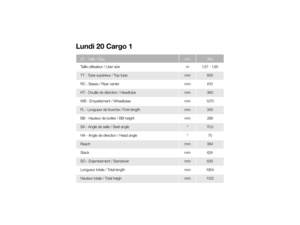 MOUSTACHE LUNDI 20 Cargo 1 Mint