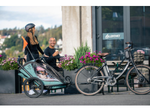 Dětský vozík HAMAX Cocoon Green/Black